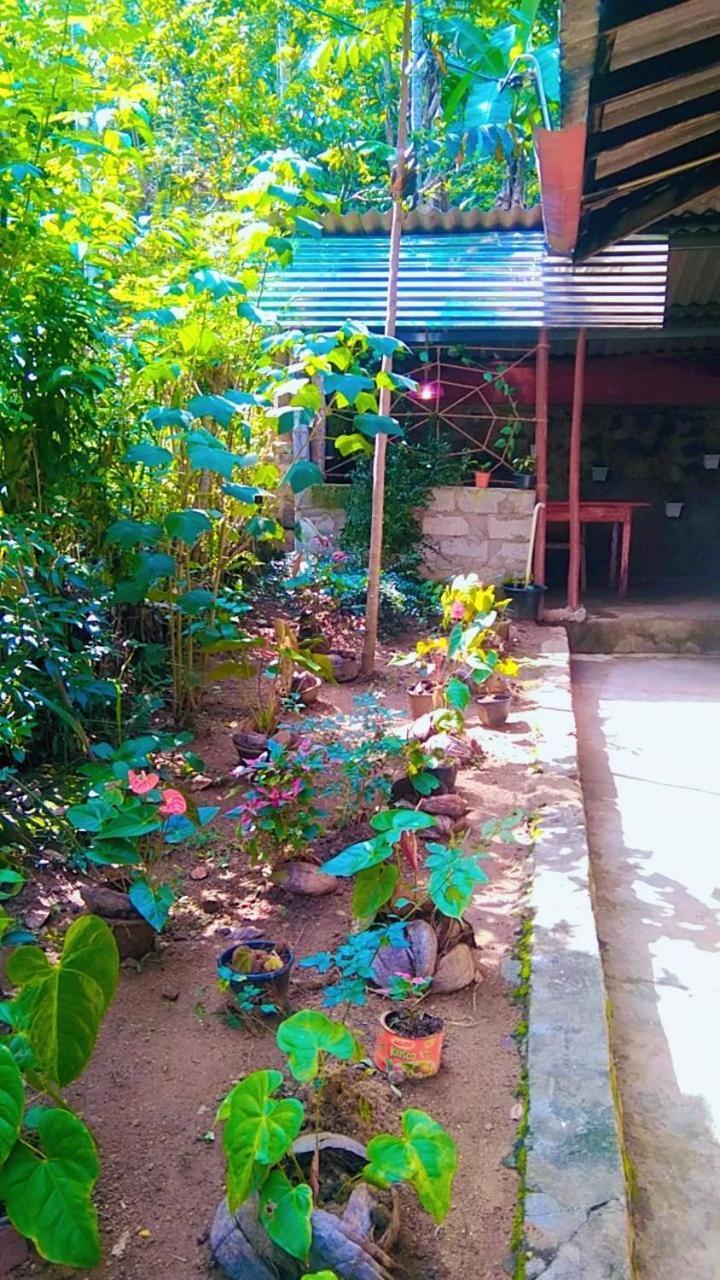 Ella Kumi Hostel Exterior foto